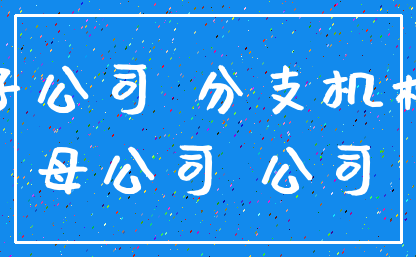 子公司 分支机构_母公司 公司