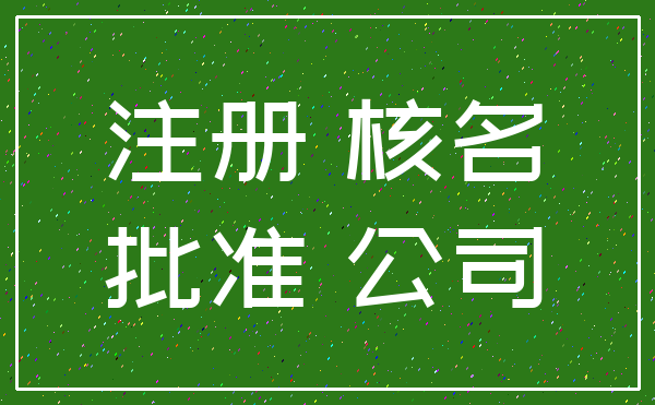 注册 核名_批准 公司