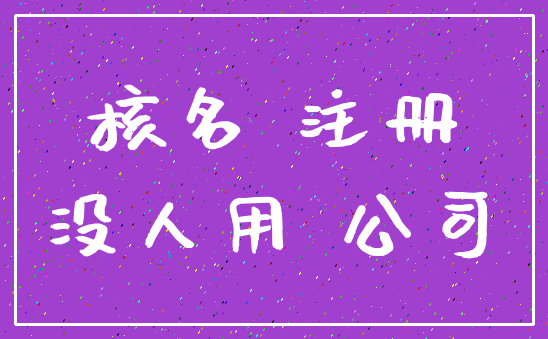 核名 注册_没人用 公司
