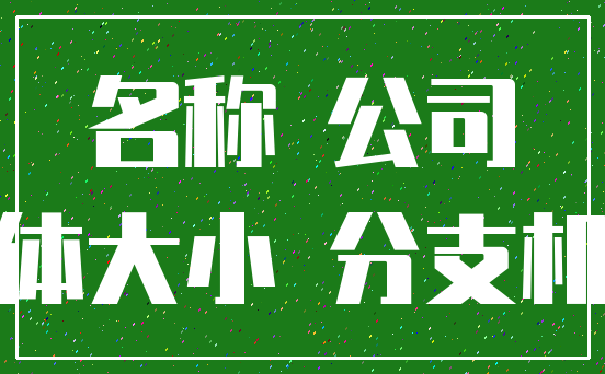名称 公司_字体大小 分支机构