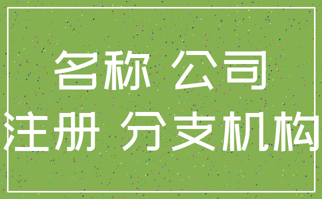 名称 公司_注册 分支机构