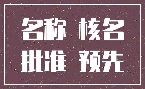 名称 核名_批准 预先