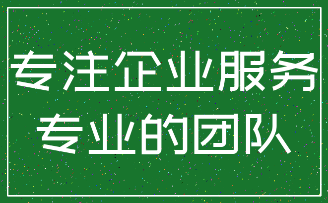 专注企业服务_专业的团队