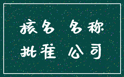 核名 名称_批准 公司
