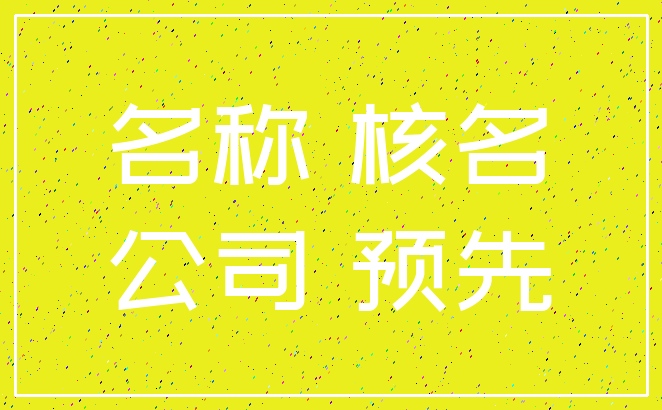 名称 核名_公司 预先