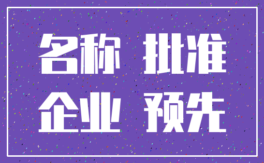 名称 批准_企业 预先