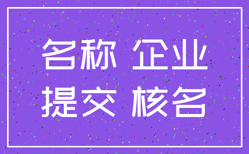 名称 企业_提交 核名