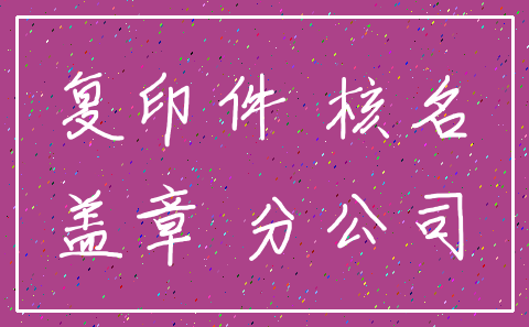 复印件 核名_盖章 分公司