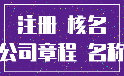 注册 核名_公司章程 名称