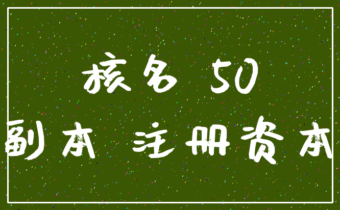 核名 50_副本 注册资本