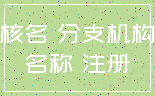 核名 分支机构_名称 注册