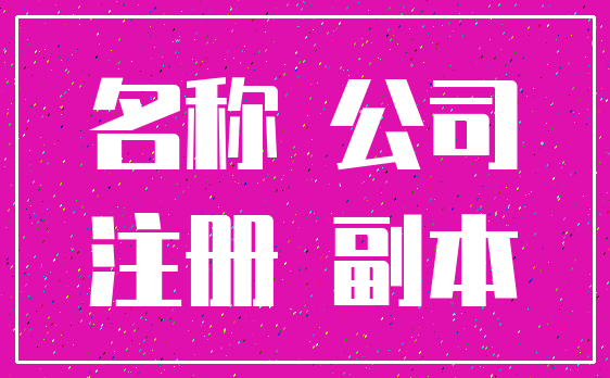 名称 公司_注册 副本