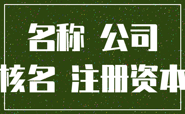 名称 公司_核名 注册资本