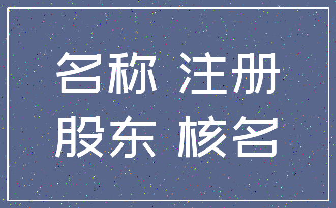 名称 注册_股东 核名