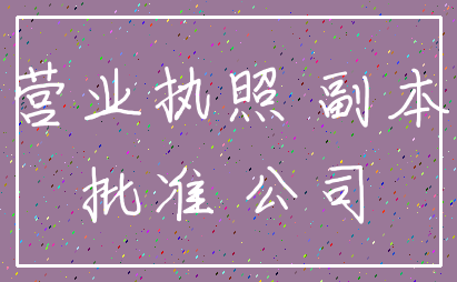 营业执照 副本_批准 公司