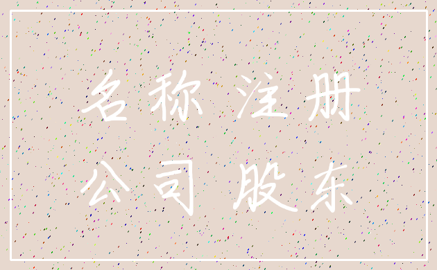 名称 注册_公司 股东