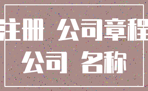 注册 公司章程_公司 名称
