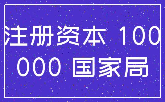 注册资本 100_000 国家局