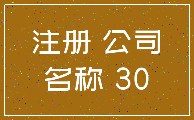 注册 公司_名称 30