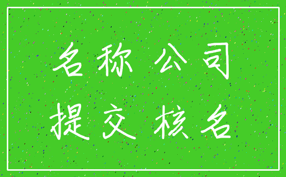 名称 公司_提交 核名