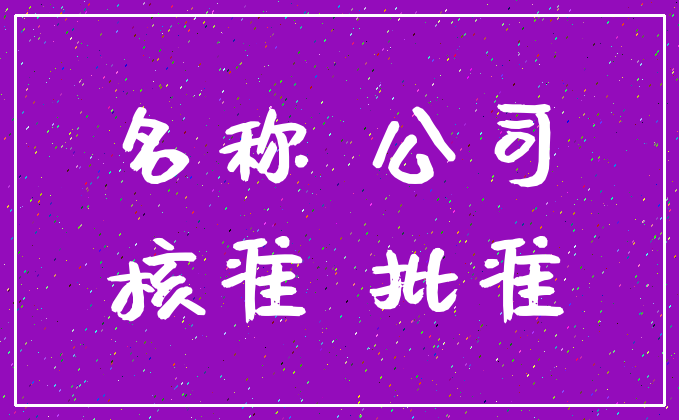 名称 公司_核准 批准