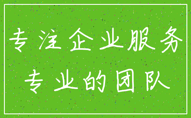 专注企业服务_专业的团队
