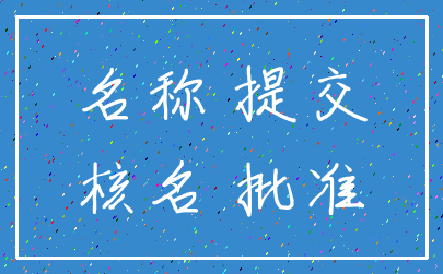名称 提交_核名 批准