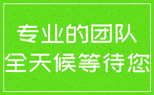 专业的团队_全天候等待您