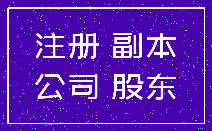 注册 副本_公司 股东
