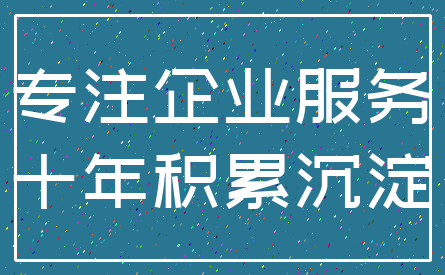 专注企业服务_十年积累沉淀