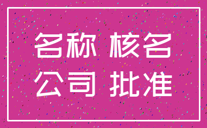 名称 核名_公司 批准