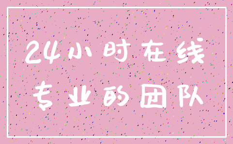 24小时在线_专业的团队