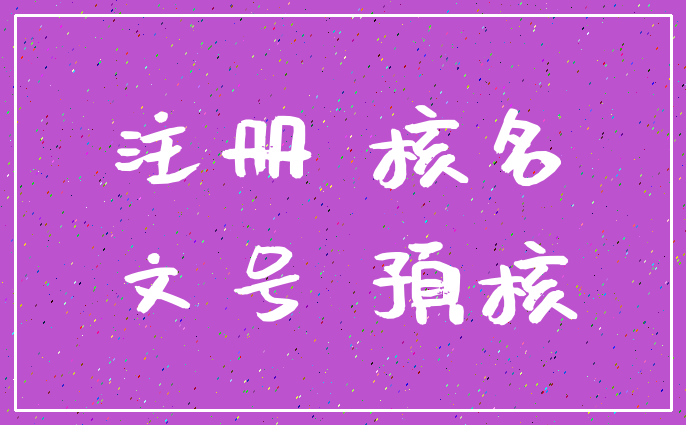 注册 核名_文号 预核