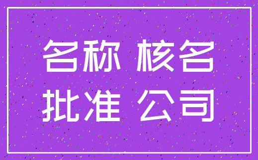 名称 核名_批准 公司