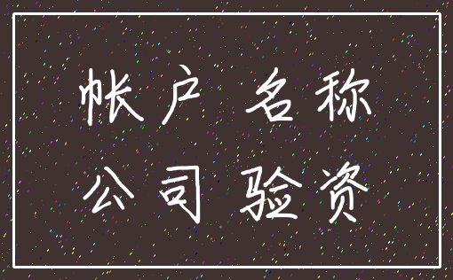 帐户 名称_公司 验资