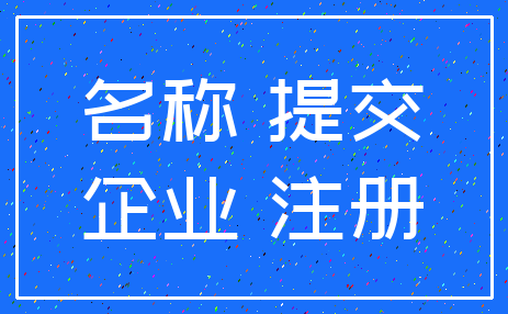 名称 提交_企业 注册