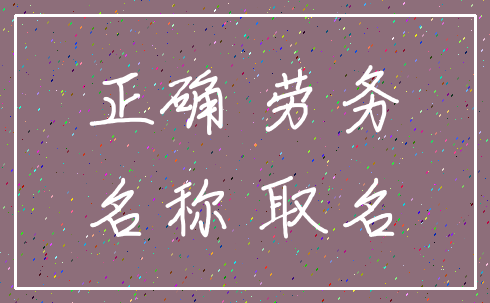 正确 劳务_名称 取名