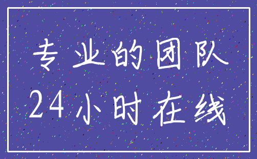专业的团队_24小时在线