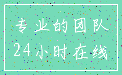 专业的团队_24小时在线