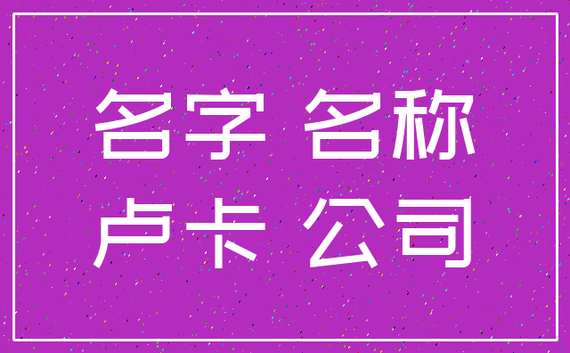 名字 名称_卢卡 公司