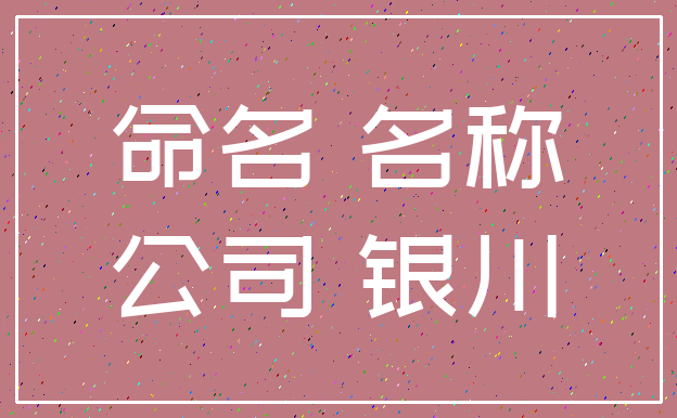 命名 名称_公司 银川