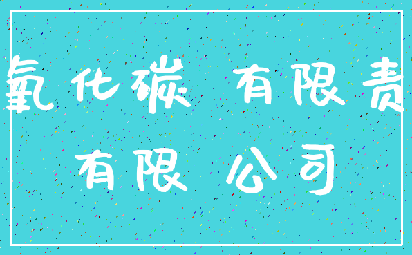 二氧化碳 有限责任_有限 公司