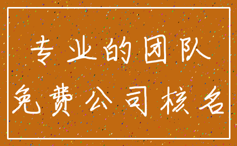 专业的团队_免费公司核名