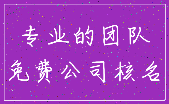 专业的团队_免费公司核名