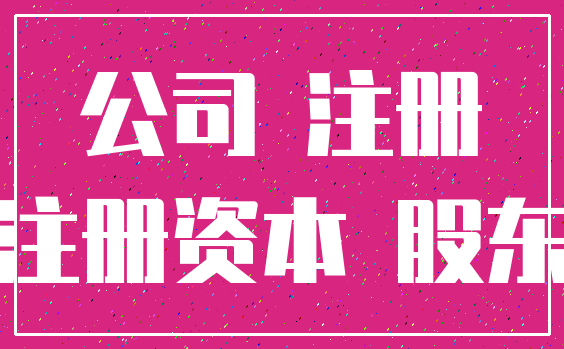 公司 注册_注册资本 股东