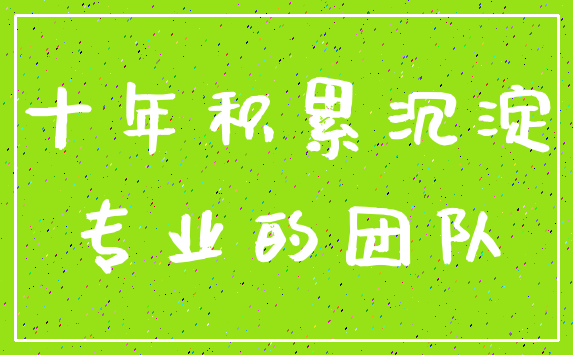 十年积累沉淀_专业的团队