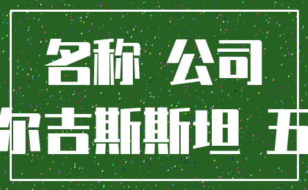 名称 公司_吉尔吉斯斯坦 五个