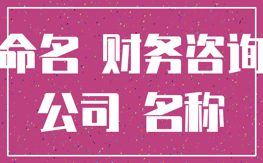 命名 财务咨询_公司 名称