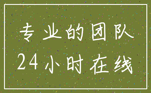 专业的团队_24小时在线