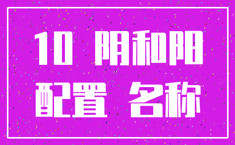 10 阴和阳_配置 名称